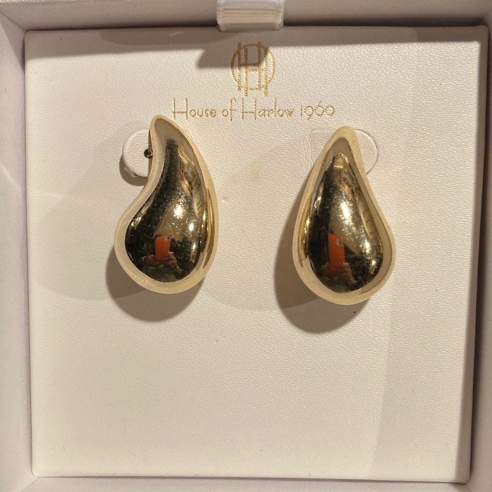 Chic Goldtone Teardrop Earrings